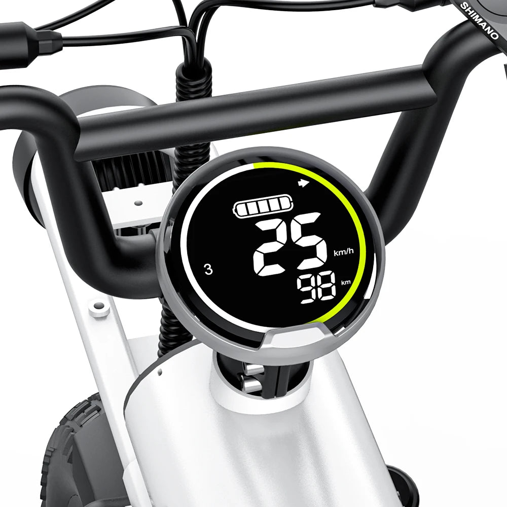 COSWHELL T16 1000W Adult Electric Bike – Power, Comfort & Long Range